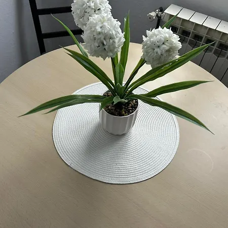 Zuko Apartament *